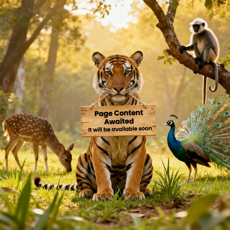 content awaited, it will be available soon.