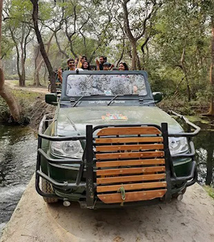 safari ride in katarniaghat