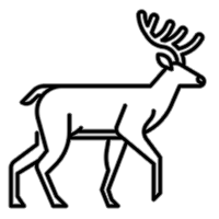 jeep icon